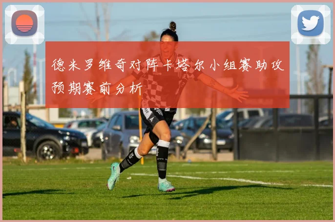德米罗维奇对阵卡塔尔小组赛助攻预期赛前分析