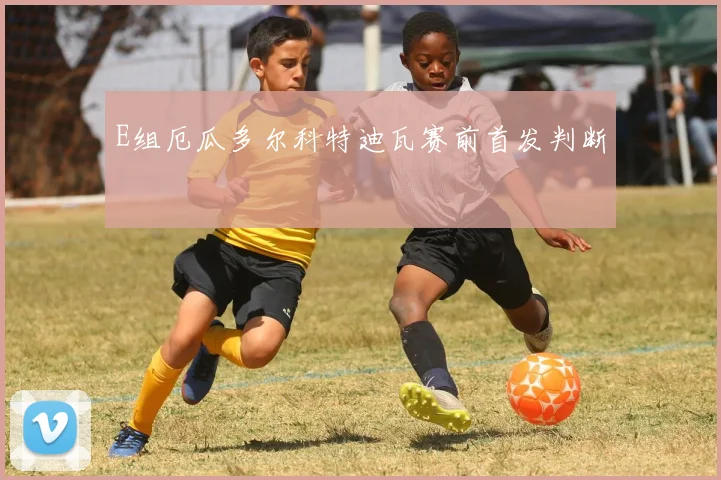 E组厄瓜多尔科特迪瓦赛前首发判断